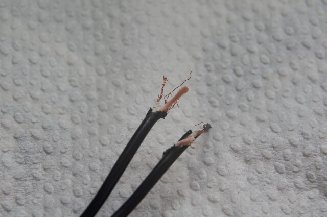ネズミにかじられた跡を見つけた際の正しい対処手順