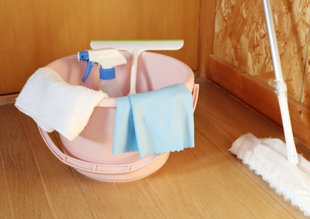 ネズミのフンの正しい掃除方法|安全な片づけ手順を4ステップで解説